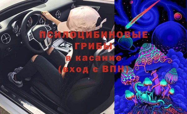 гидра Богородск