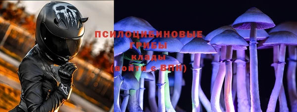 гидра Богородск