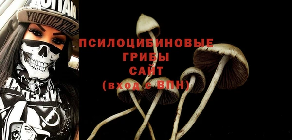 марки lsd Белокуриха