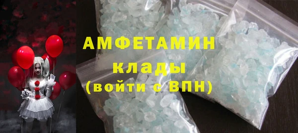 гидра Богородск