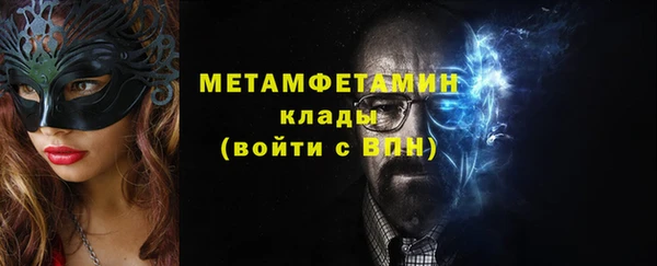 гидра Богородск