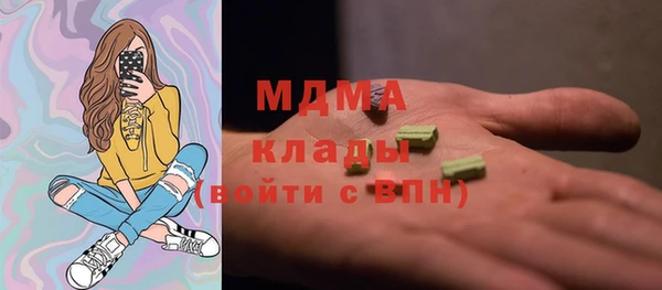 гидра Богородск