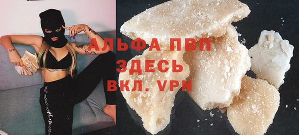 гидра Богородск