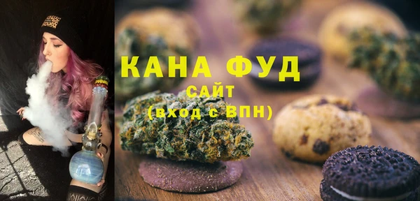 гидра Богородск