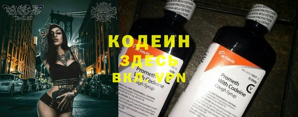гидра Богородск